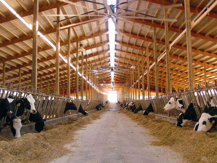 Строительство ферм КРС, коровников, молочных ферм - Ангарстрой
