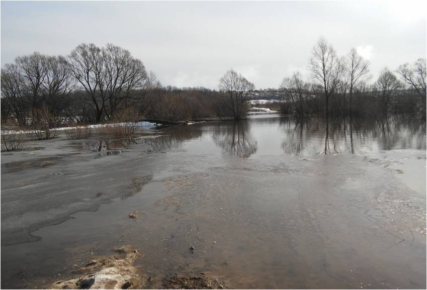 Вода на мордовском. Река Инсар в Саранске. Река Вад Мордовия. Половодье в Саранске. Паводок 2017.