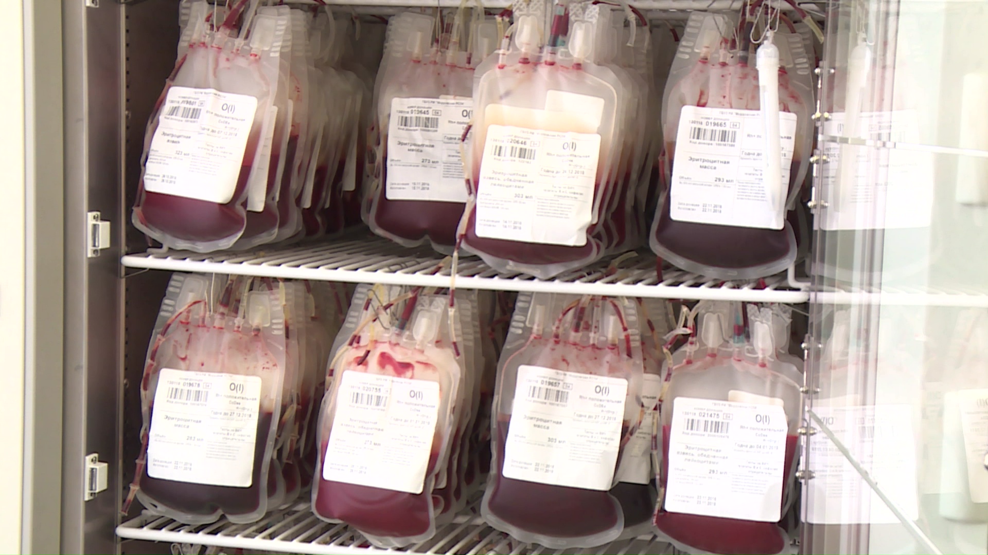 Консервирование донорской крови