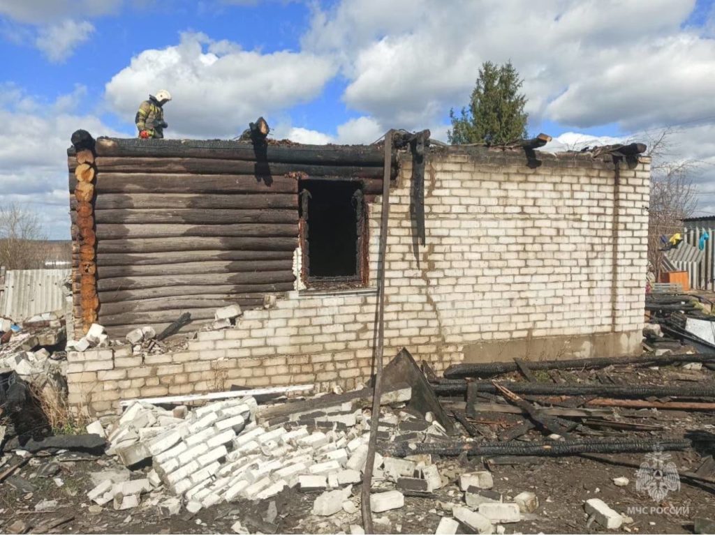 В Мордовии на пожаре пострадали дети